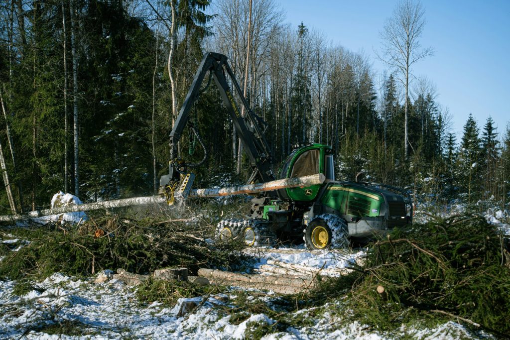 Eine Holzfällmaschine erntet Bäume in einem verschneiten Wald.